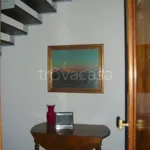 Rent 3 bedroom apartment of 80 m² in Torino