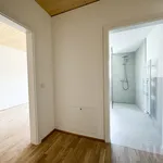 Rent 2 bedroom apartment in Salzburg