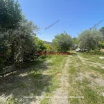 Single family villa via San Biagio, Cefalù