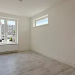 Huur 4 slaapkamer appartement van 152 m² in Maastricht