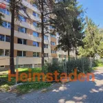 Rent 1 bedroom apartment of 36 m² in Karviná