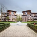 Huur 3 slaapkamer appartement van 128 m² in auderghem