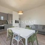 Rent 1 bedroom apartment of 75 m² in milano