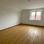 Rent 1 bedroom apartment in Rittershoffen