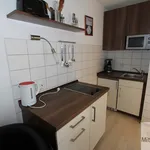 Rent 1 bedroom apartment of 30 m² in Nuremberg