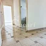 Affitto 3 camera appartamento di 100 m² in Frascati