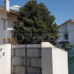 Rent 2 bedroom apartment of 55 m² in San Felice Circeo