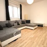 Rent 2 bedroom apartment of 49 m² in Jirny