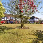 Rent 2 bedroom apartment in Weybridge