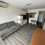 Rent 1 bedroom apartment of 27 m² in belmont