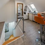 Miete 1 Schlafzimmer wohnung von 31 m² in Essen