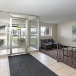 Rent 1 bedroom apartment in Sarnia