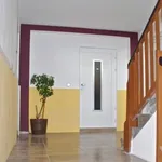 Rent 3 bedroom apartment of 75 m² in Chemnitz