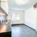 Rent 3 bedroom apartment of 66 m² in Ústí nad Labem