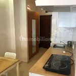 Rent 1 bedroom apartment of 35 m² in Rome