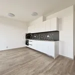 Rent 1 bedroom apartment in Brno