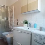 Rent 1 bedroom apartment of 30 m² in Milano