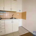 Rent 1 bedroom apartment of 28 m² in Český Těšín