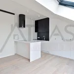 Rent 1 bedroom apartment of 39 m² in Prague