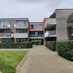 Rent 2 bedroom apartment in GEEL