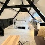 Rent 1 bedroom apartment of 50 m² in Den Haag