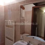 Rent 3 bedroom apartment of 70 m² in Pisa