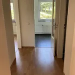 Rent 3 bedroom apartment of 67 m² in Siegen