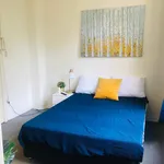 Rent 1 bedroom student apartment in Surry Hills