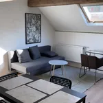 Rent 1 bedroom apartment of 700 m² in Brussels