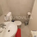 Rent 1 bedroom apartment of 50 m² in Zagreb