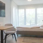 Rent 1 bedroom apartment of 24 m² in Basel