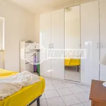 Affitto 2 camera appartamento di 35 m² in Cerveteri