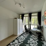 Huur 2 slaapkamer appartement van 78 m² in Nijmegen