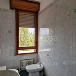 Rent 3 bedroom apartment of 100 m² in Modena