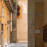 Rent 1 bedroom apartment in rome