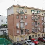 Rent a room in madrid