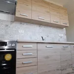 Rent 3 bedroom apartment of 75 m² in Hodonín