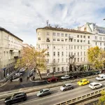 Rent 4 bedroom apartment of 175 m² in Budapest