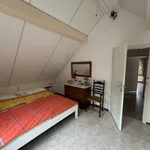 Huur 3 slaapkamer huis van 207 m² in friesland