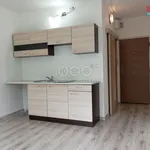 Rent 1 bedroom apartment of 36 m² in Chomutov