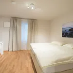 Rent 2 bedroom apartment of 50 m² in Nürnberg