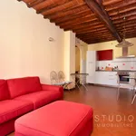 Rent 2 bedroom apartment of 60 m² in Pistoia