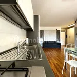 Rent 1 bedroom apartment of 46 m² in Cernusco sul Naviglio