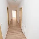 Rent 2 bedroom apartment of 56 m² in Chemnitz