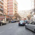 Rent 1 bedroom apartment in rome