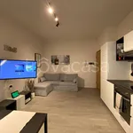 Rent 2 bedroom apartment of 50 m² in Milano