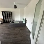 Miete 1 Schlafzimmer wohnung von 40 m² in Nürnberg