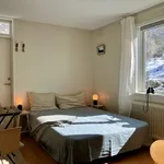 Rent 1 rooms apartment of 18 m² in Tjörns kommun