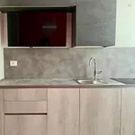 Rent 1 bedroom apartment in Milan