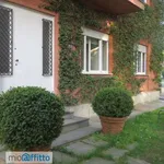 Rent 3 bedroom apartment of 90 m² in Turin